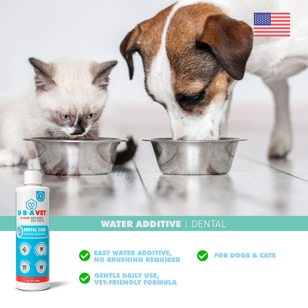 Dental Care Water Additive for Dogs & Cats, 16 fl oz