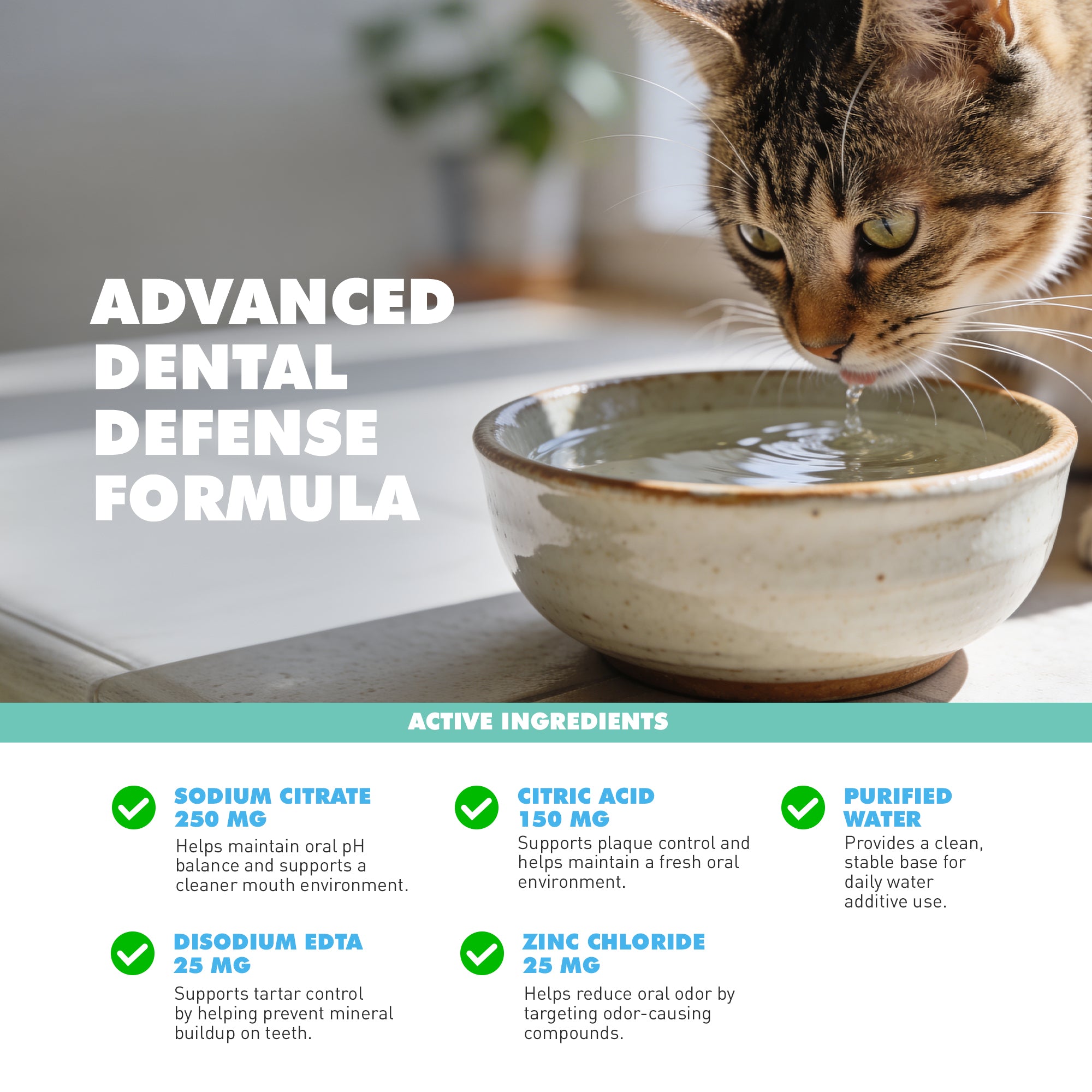Dental Care Water Additive for Dogs & Cats, 16 fl oz