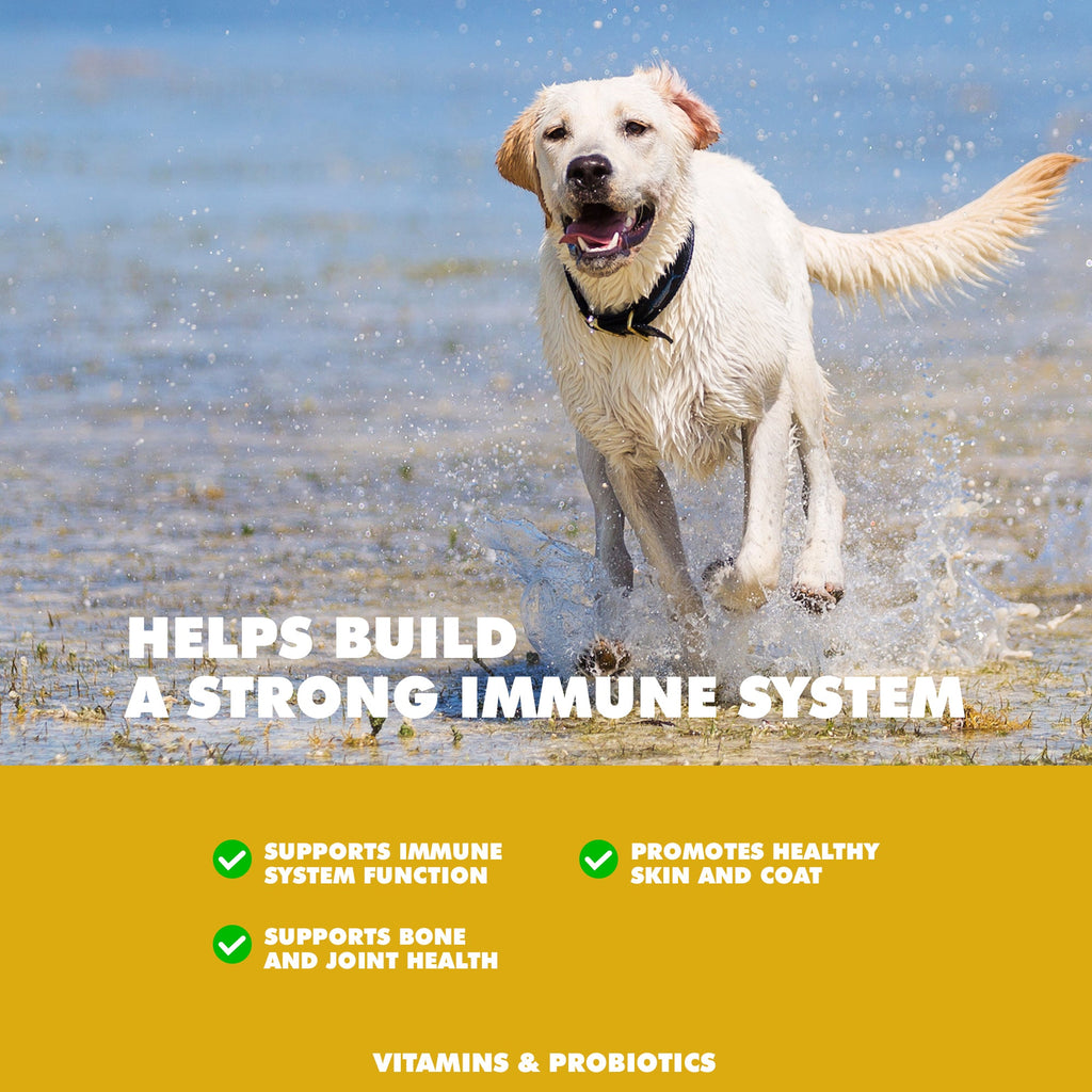 Immune Support Daily Multi-Vitamin & Mineral Tablets for Dogs, Chicken, 90ct