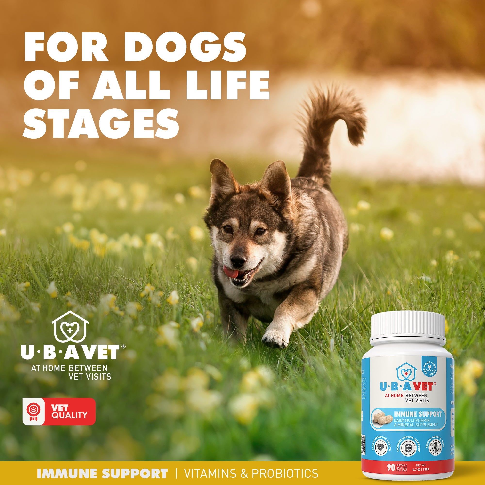 Immune Support Daily Multi-Vitamin & Mineral Tablets for Dogs, Chicken, 90ct