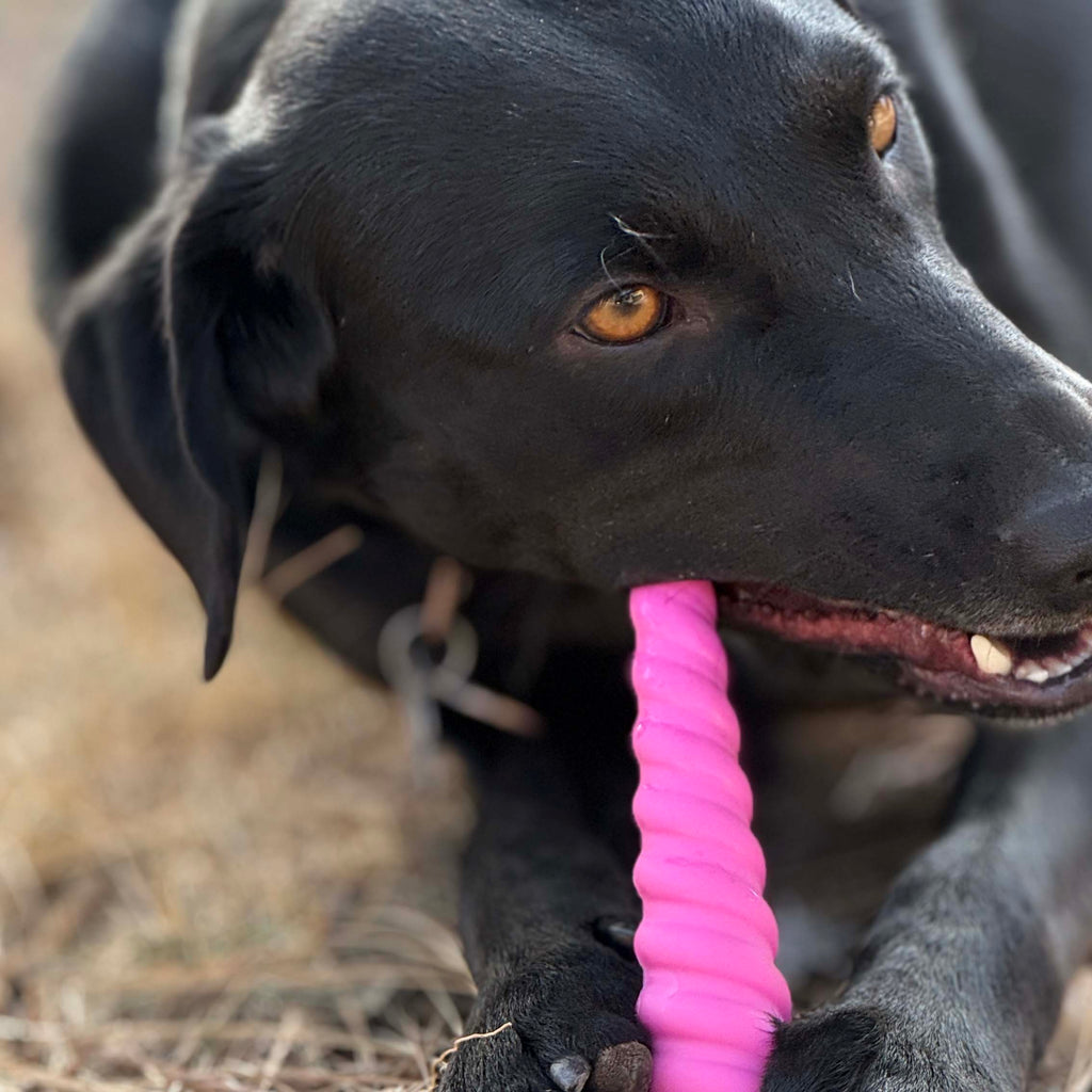 Unicorn Horn Dog Chew Toy – Durable Nylon, Pink & Brown, 7"