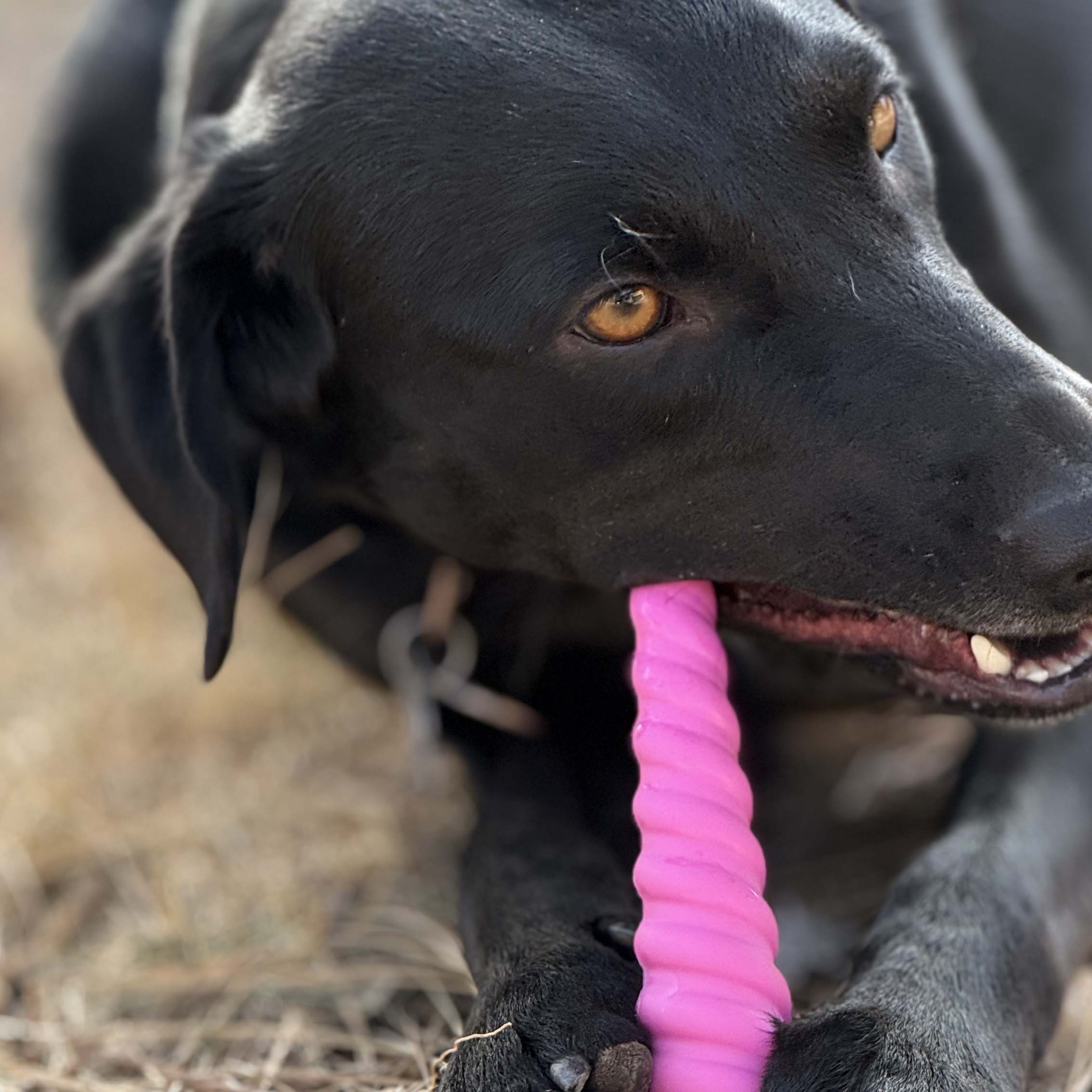 Unicorn Horn Dog Chew Toy – Durable Nylon, Pink & Brown, 7"