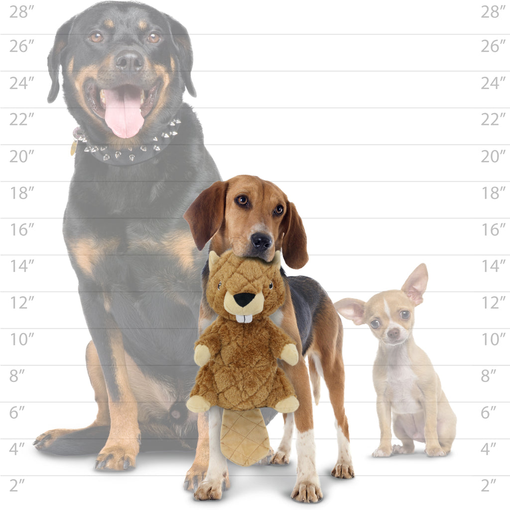 Mighty Nature Beaver — dog size guide