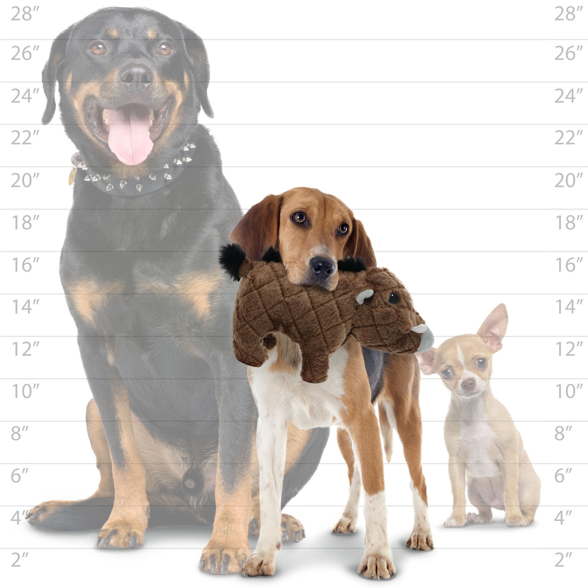 Mighty Safari Warthog Brown — dog size guide