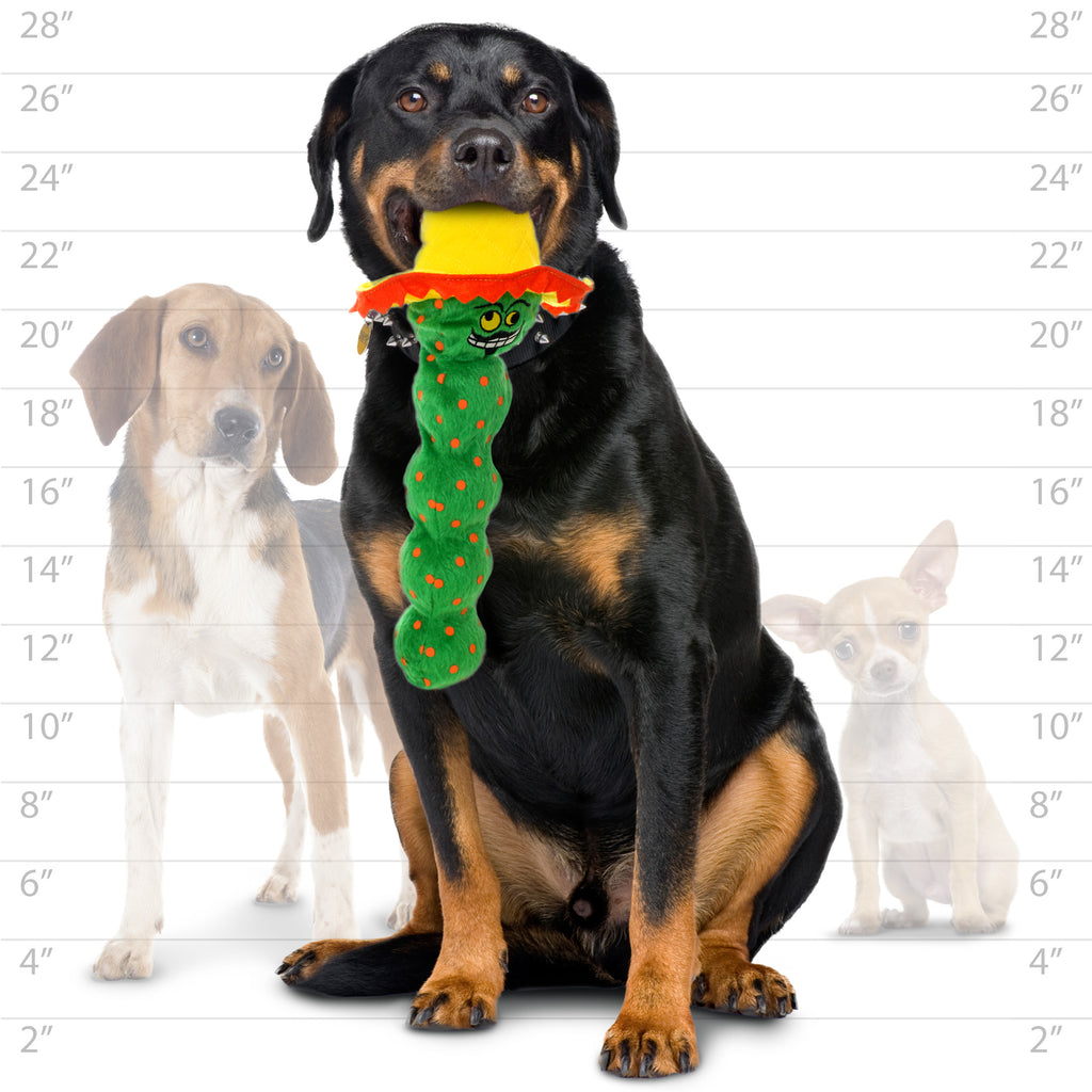 Mighty Tequila Worm Green — dog size guide