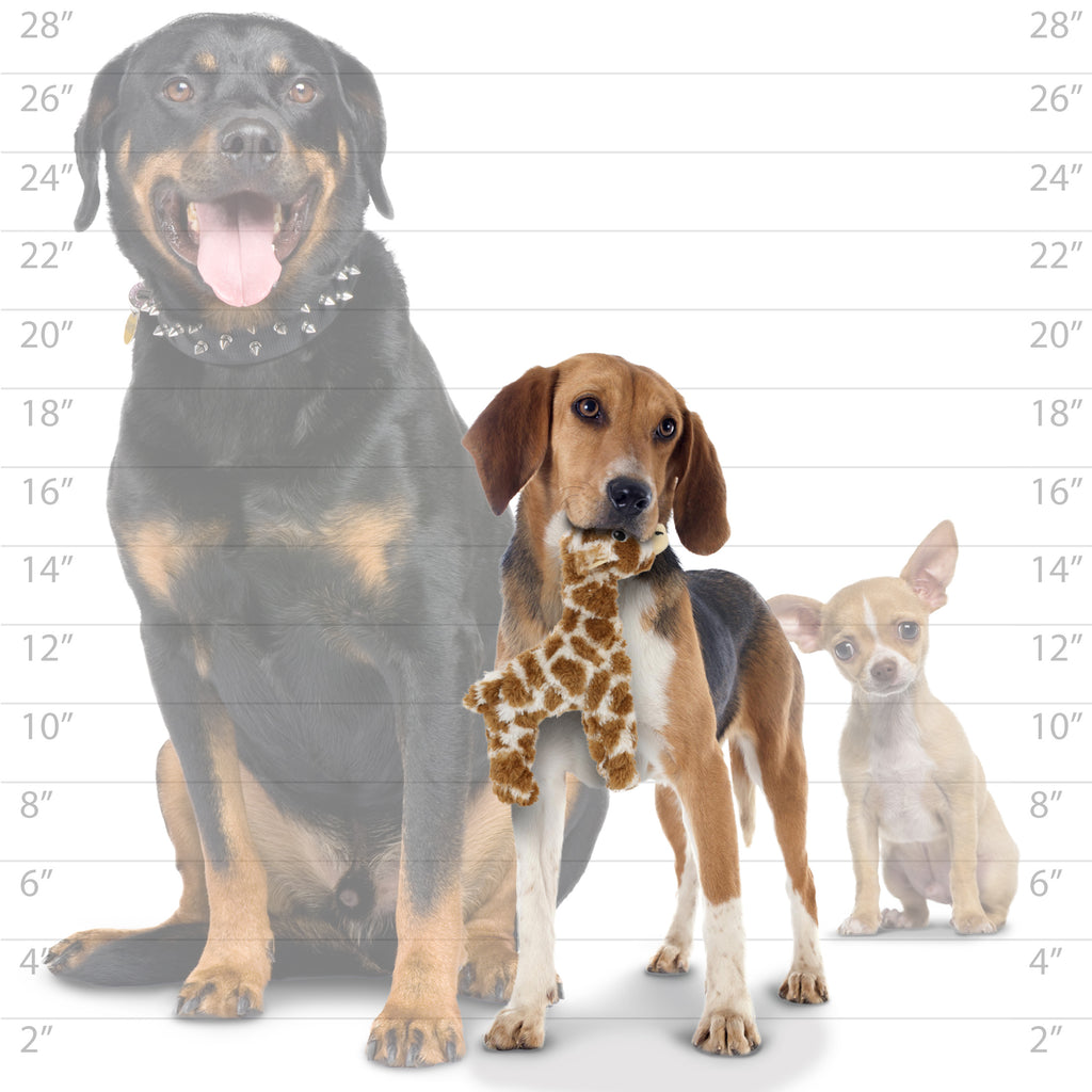 Mighty Jr Safari Giraffe — dog size guide