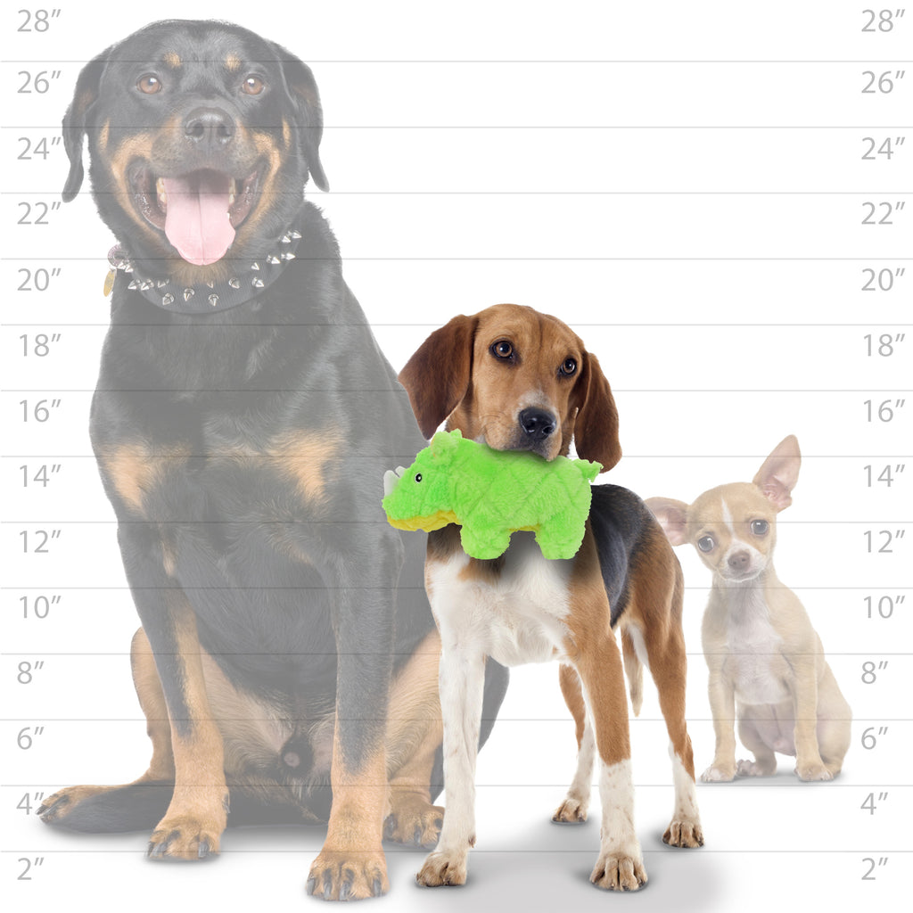 Mighty Jr Safari Rhinoceros Green — dog size guide