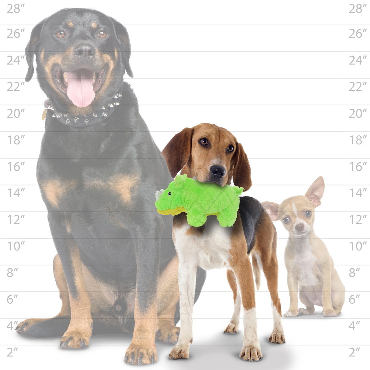 Mighty Jr Safari Rhinoceros Green — dog size guide