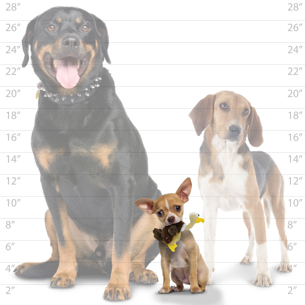 Mighty Jr Safari Vulture — dog size guide
