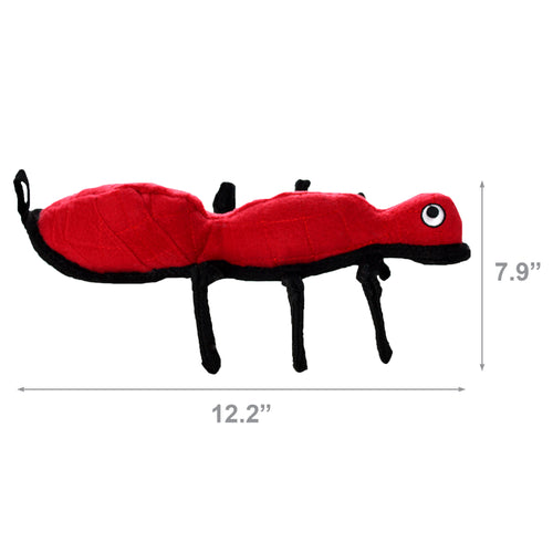 Tuffy Desert Ant — dimensions