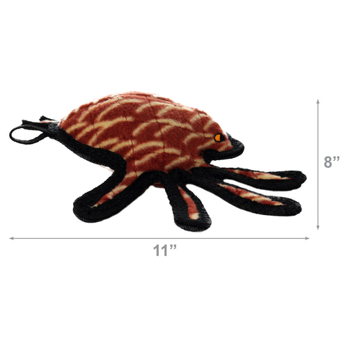 Tuffy Desert Spider — dimensions