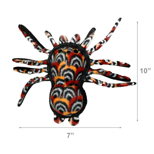 Tuffy Desert Tarantula — dimensions