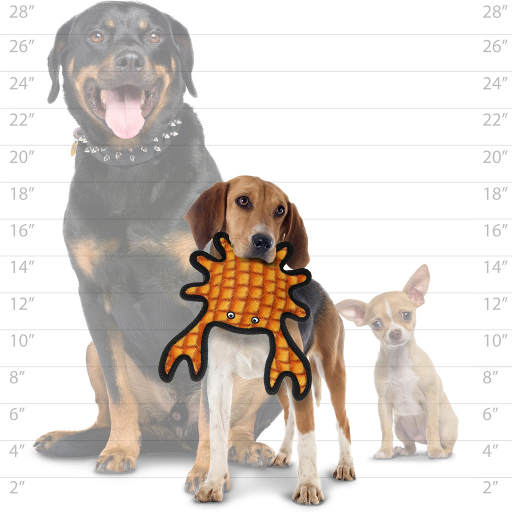 Tuffy Med Crab Orange — dog size guide