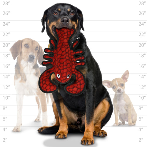 Tuffy Ocean Creature Lobster — dog size guide