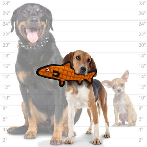 Tuffy Ocean Creature Trout Orange — dog size guide