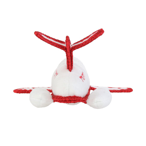 Tuffy Transportation Airplane — additional view