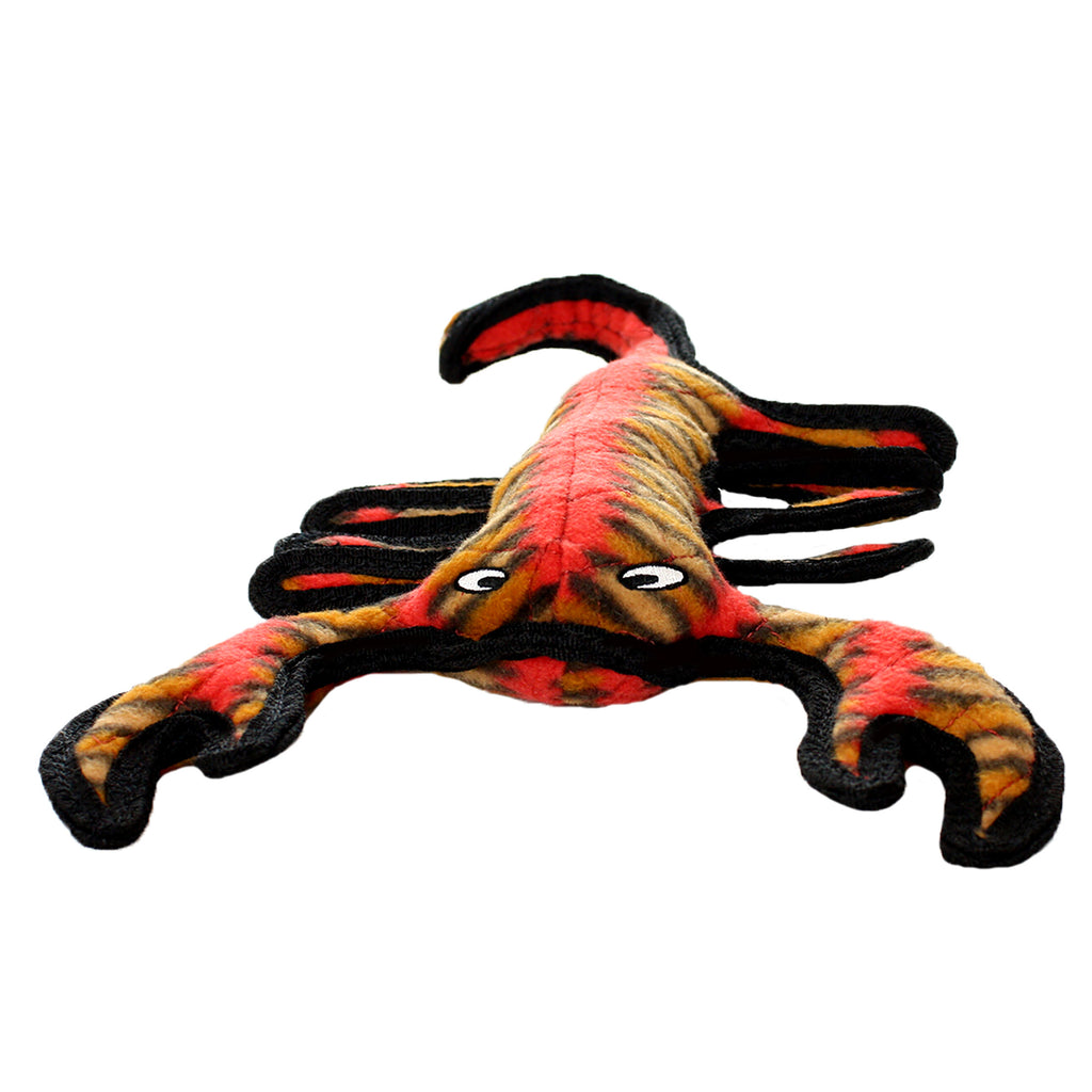 Tuffy Desert Scorpion