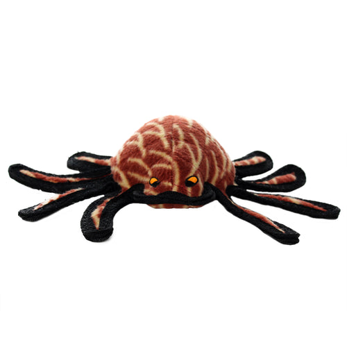 Tuffy Desert Spider
