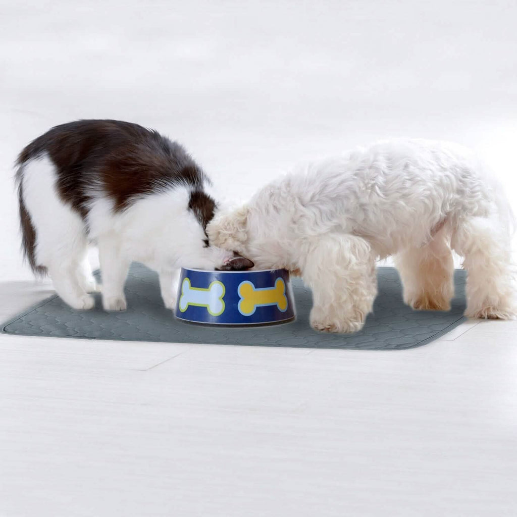 Reusable Dog Pee Pad with Four-Layer Absorbent Protection