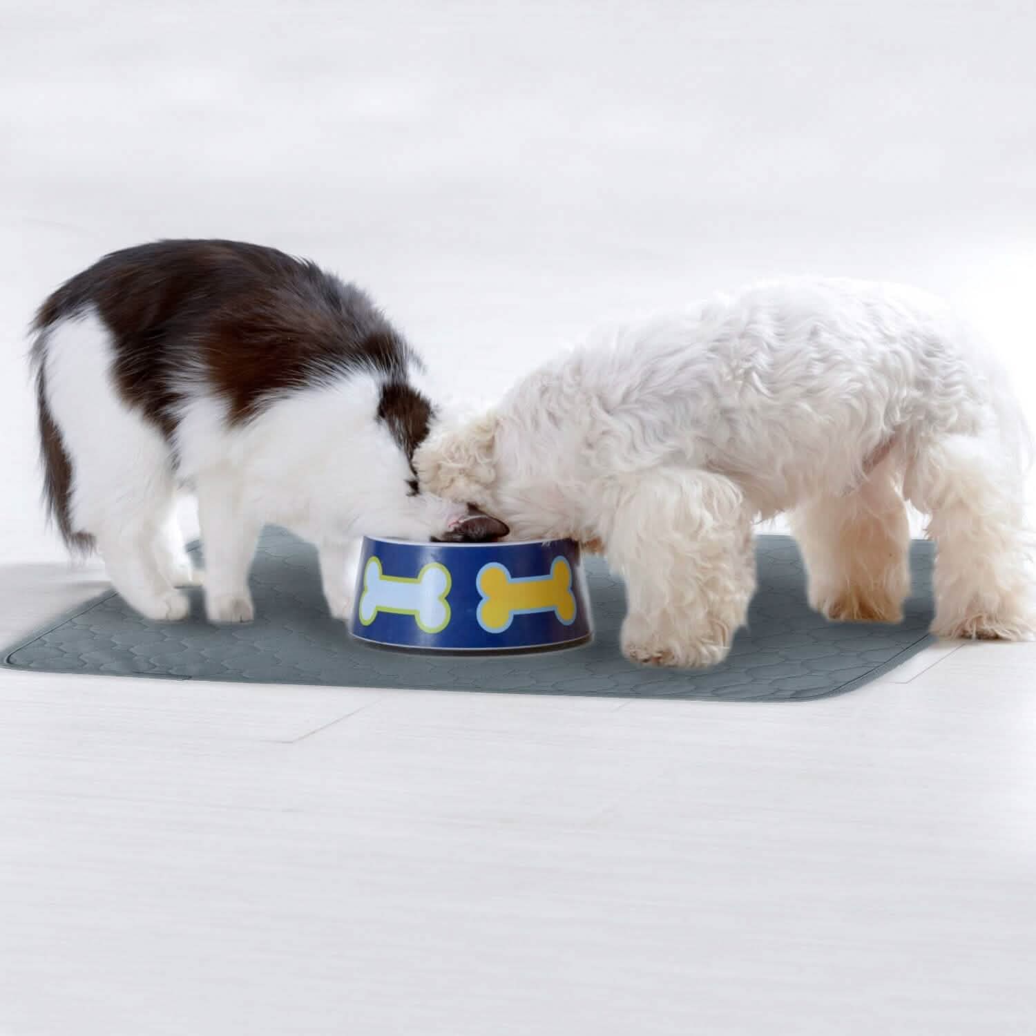 Reusable Dog Pee Pad with Four-Layer Absorbent Protection