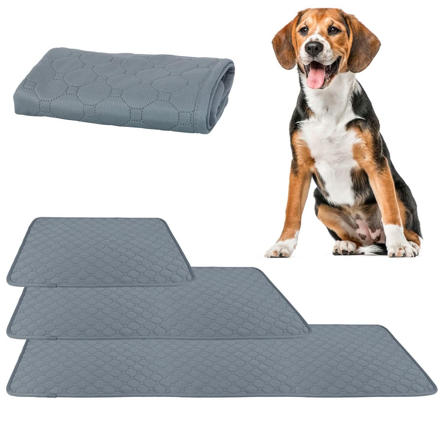 Reusable Dog Pee Pad with Four-Layer Absorbent Protection