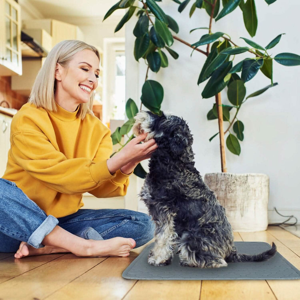 Reusable Dog Pee Pad with Four-Layer Absorbent Protection