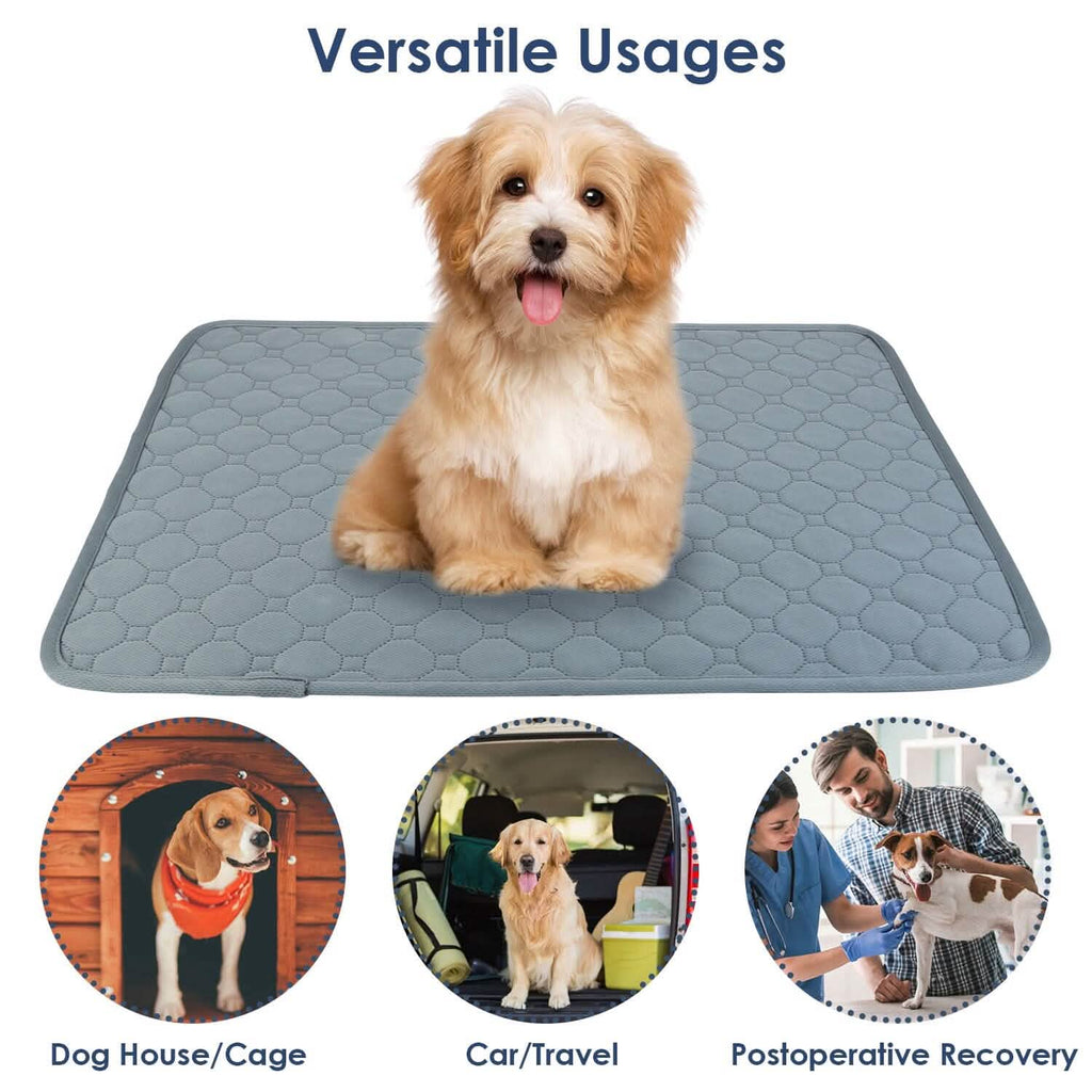Reusable Dog Pee Pad with Four-Layer Absorbent Protection