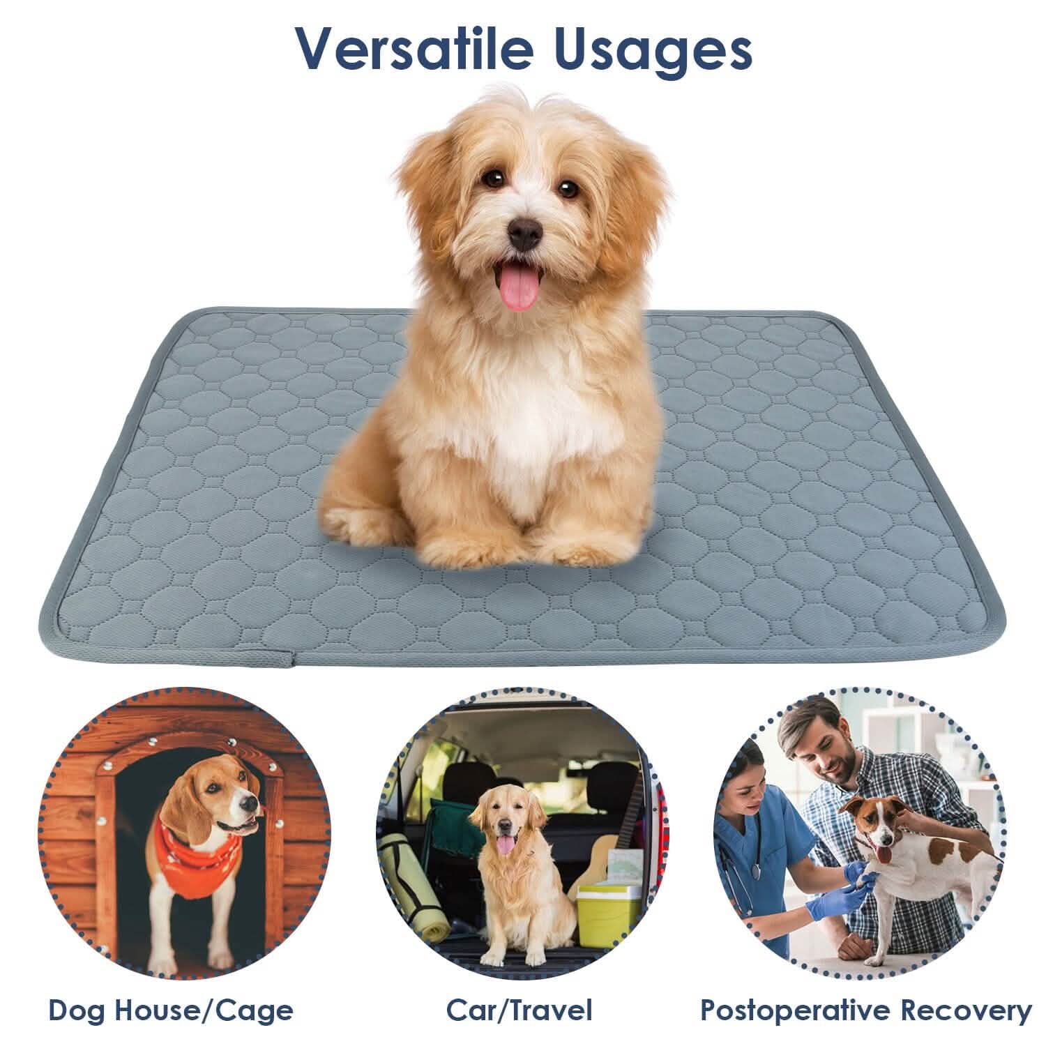 Reusable Dog Pee Pad with Four-Layer Absorbent Protection