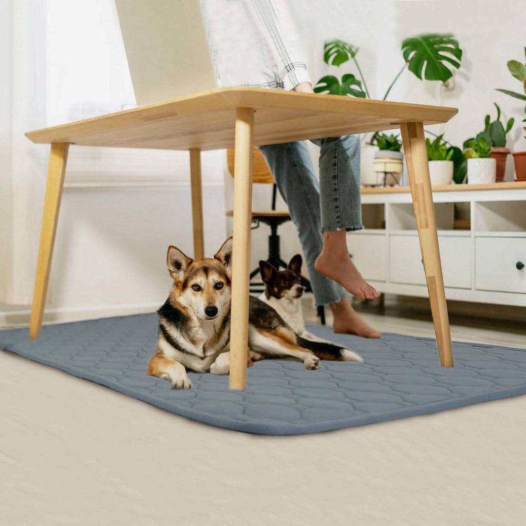 Reusable Dog Pee Pad with Four-Layer Absorbent Protection