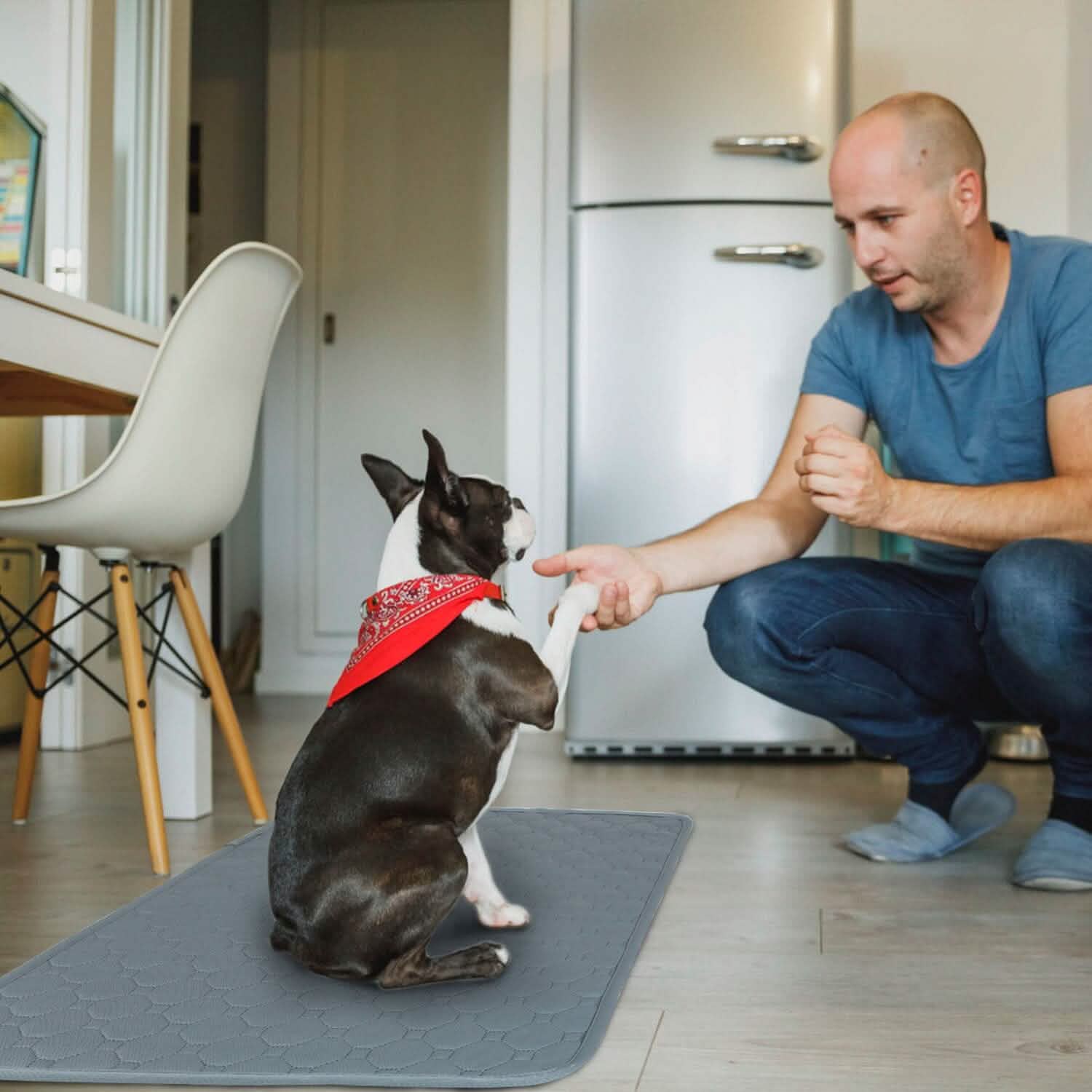 Reusable Dog Pee Pad with Four-Layer Absorbent Protection