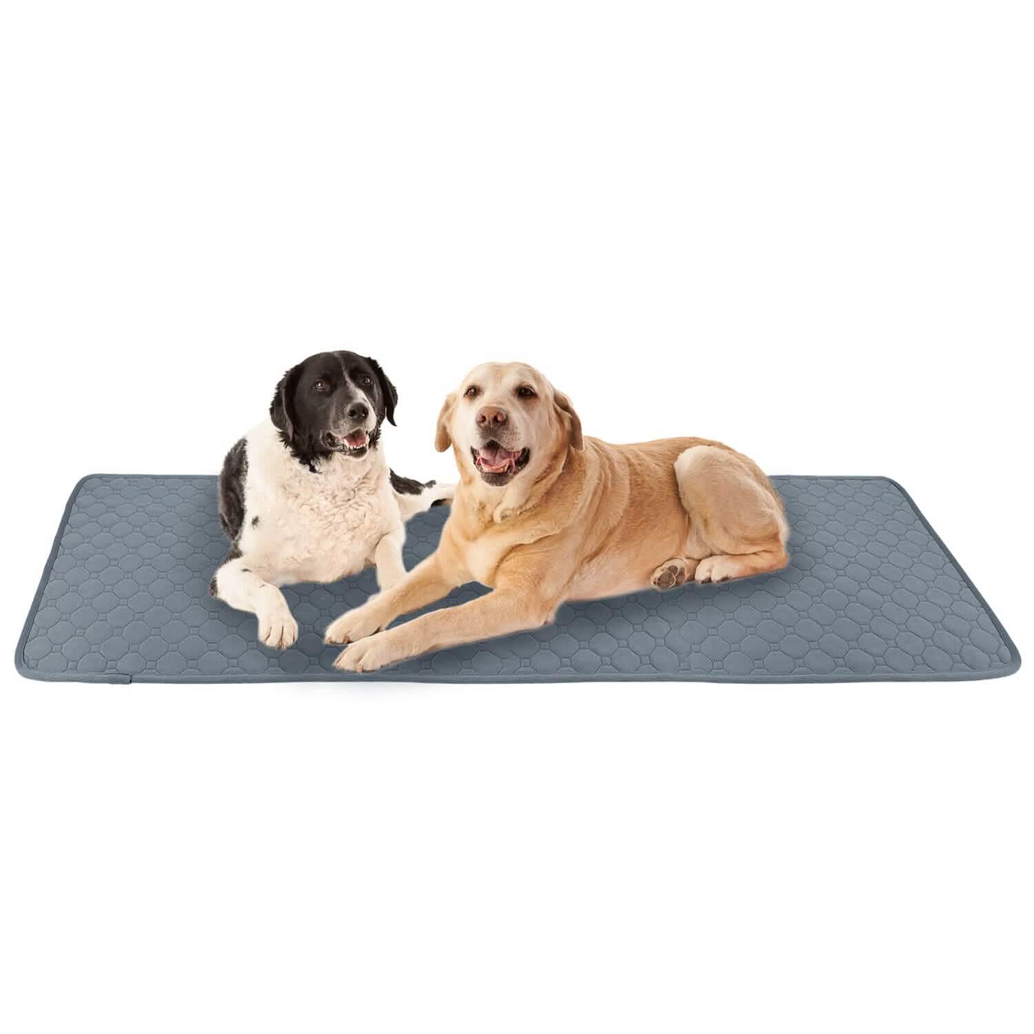 Reusable Dog Pee Pad with Four-Layer Absorbent Protection