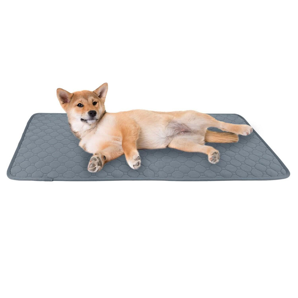 Reusable Dog Pee Pad with Four-Layer Absorbent Protection