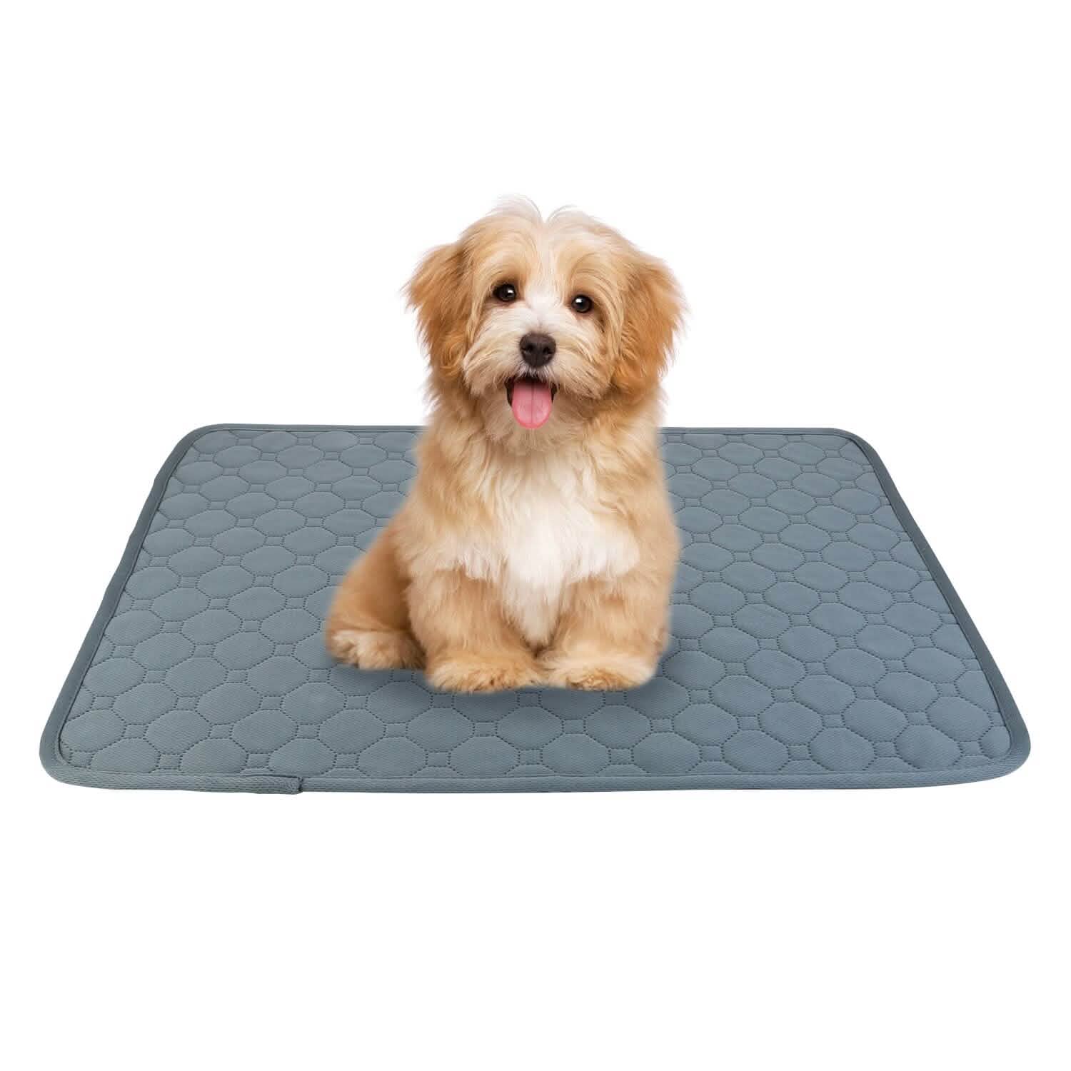 Reusable Dog Pee Pad with Four-Layer Absorbent Protection