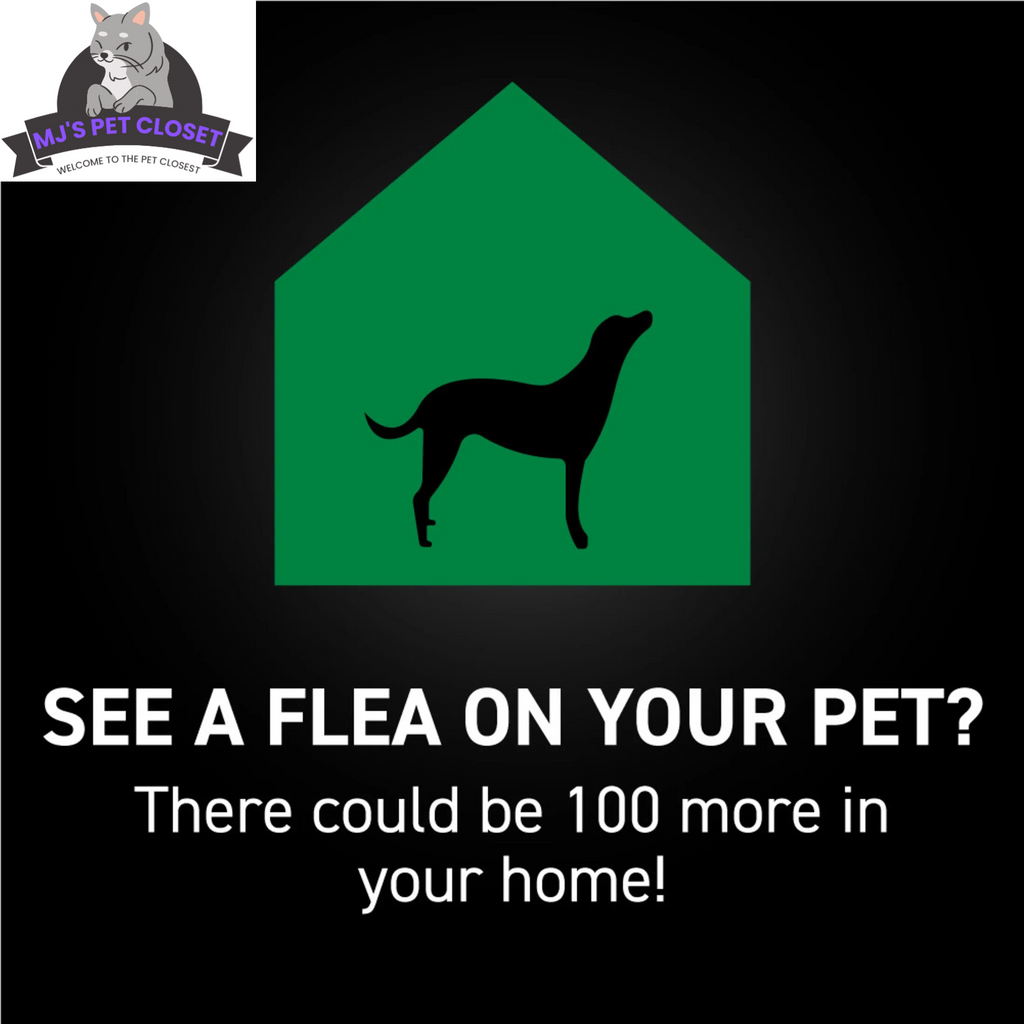 Monthly Topical Flea & Tick Treatment for Dogs