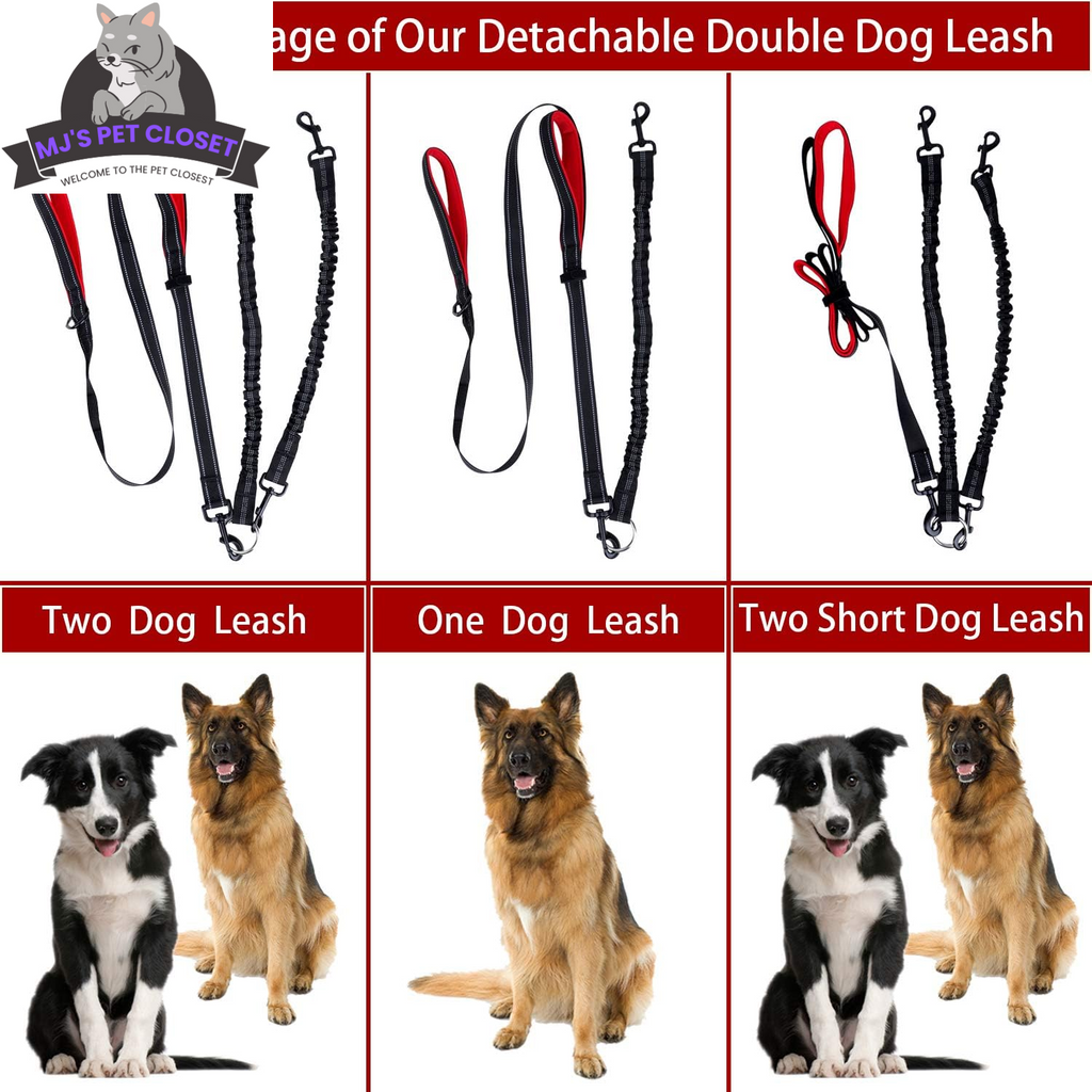 Double Dog Leash with Waist Belt and Reflective Stitching