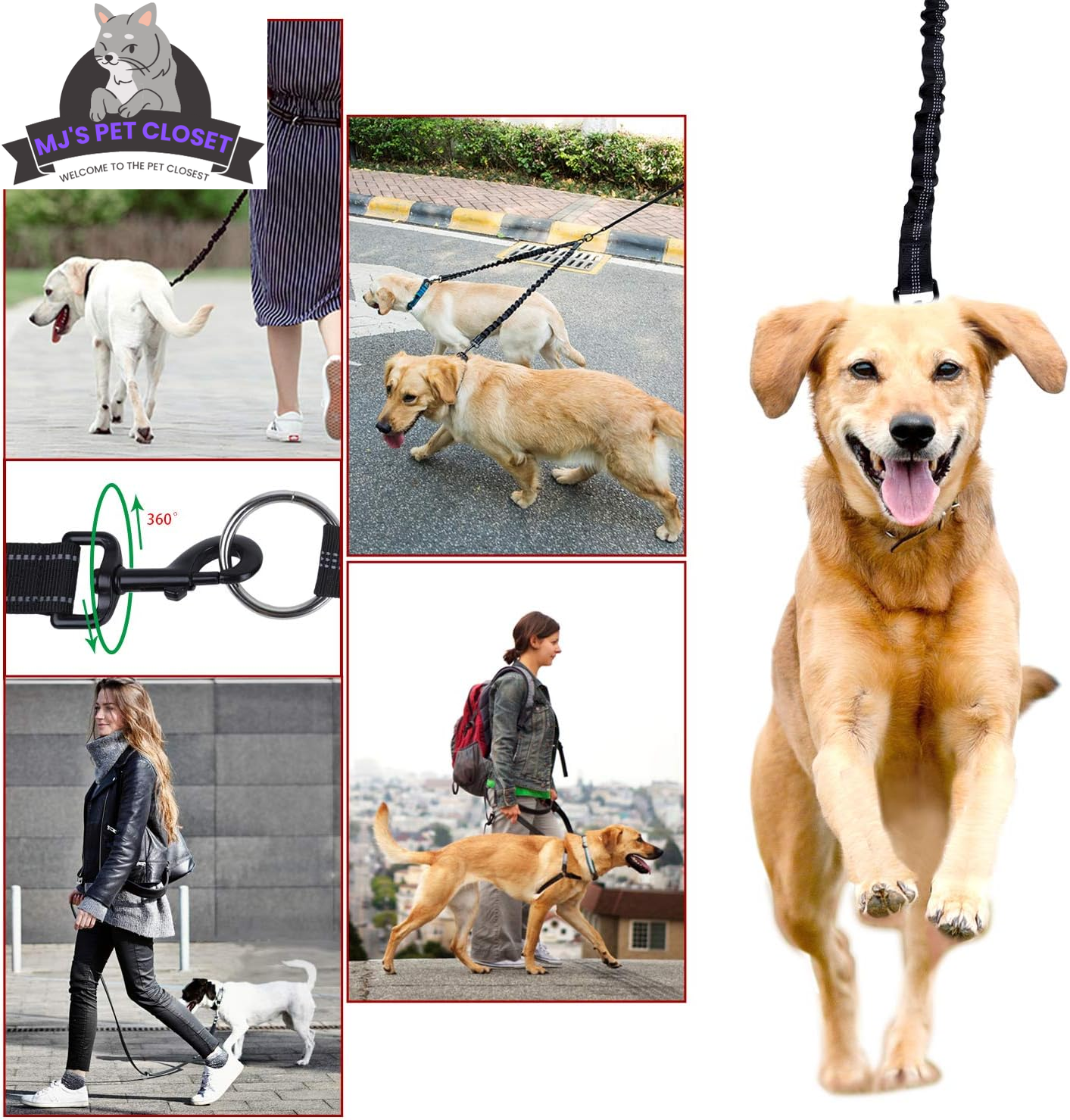 Double Dog Leash with Waist Belt and Reflective Stitching