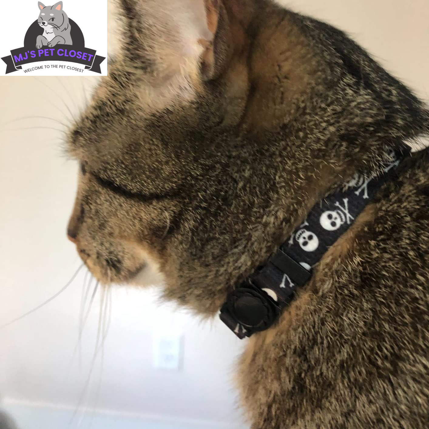 Cat Breakaway Collar 2-Pack – Pink & Black Skull Designs, Adjustable