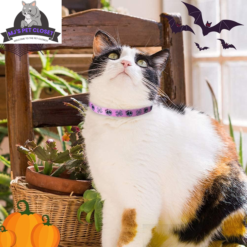 Cat Breakaway Collar 2-Pack – Pink & Black Skull Designs, Adjustable