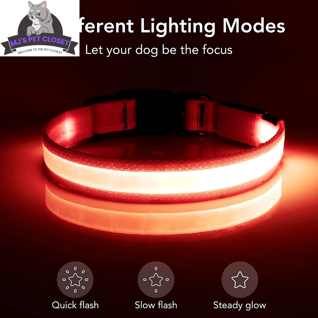 LED Dog Collar with USB Rechargeable Light, Adjustable Fit