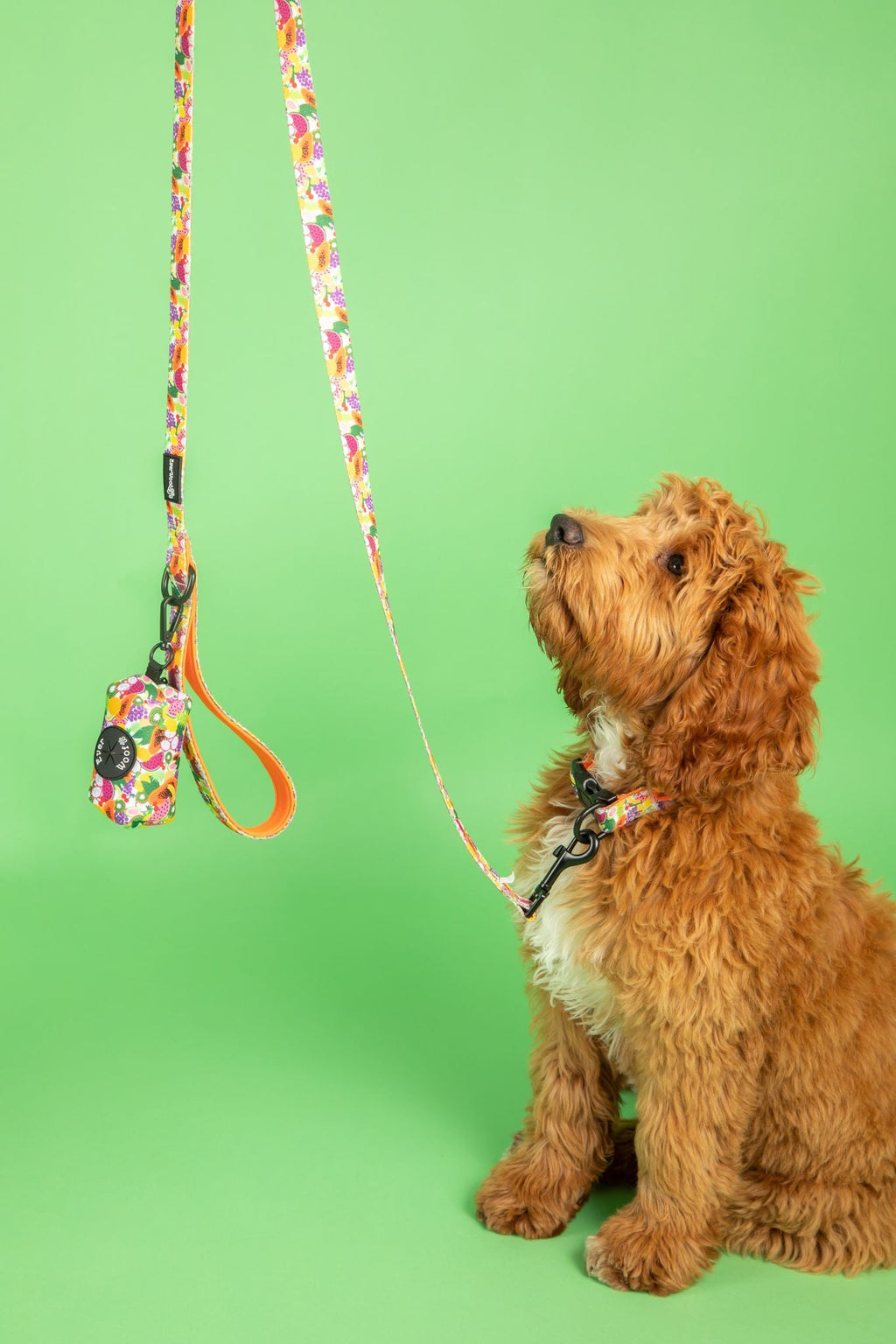 Tutti Frutti Neoprene Waste Bag Holder for Leash or Bag