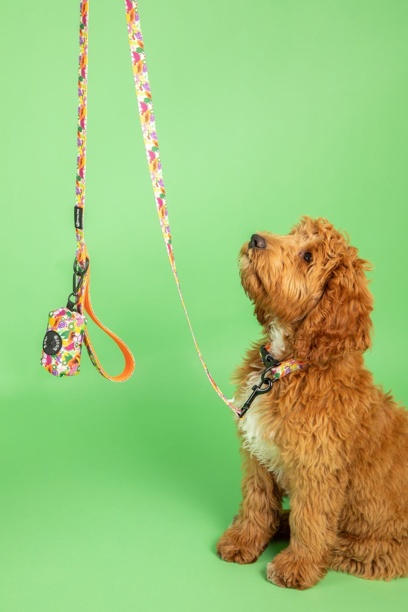 Tutti Frutti Neoprene Waste Bag Holder for Leash or Bag