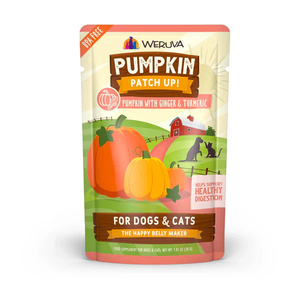 Pumpkin Digestive Supplement for Dogs & Cats with Ginger & Turmeric