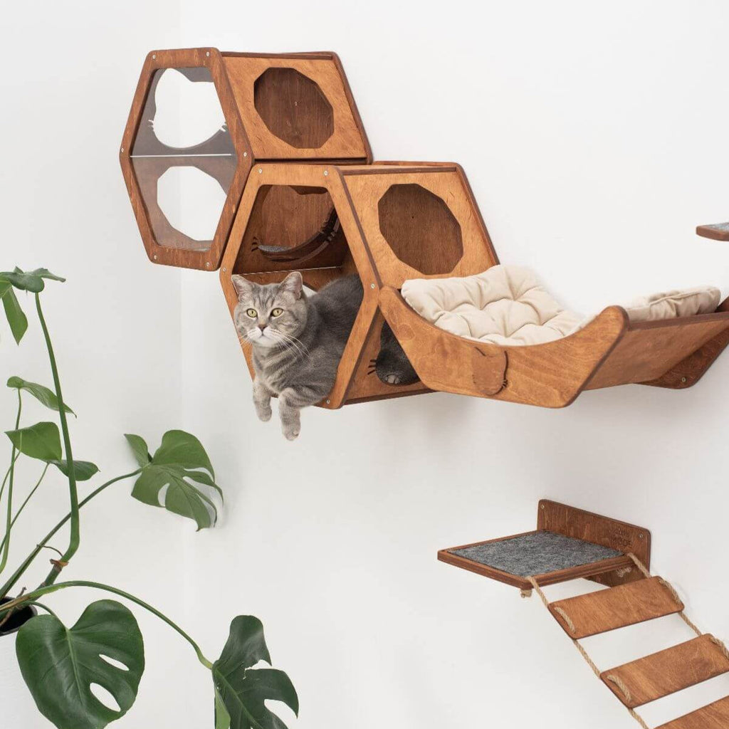 Wooden Cat Wall Shelf Hexagon by Enjoy The Wood