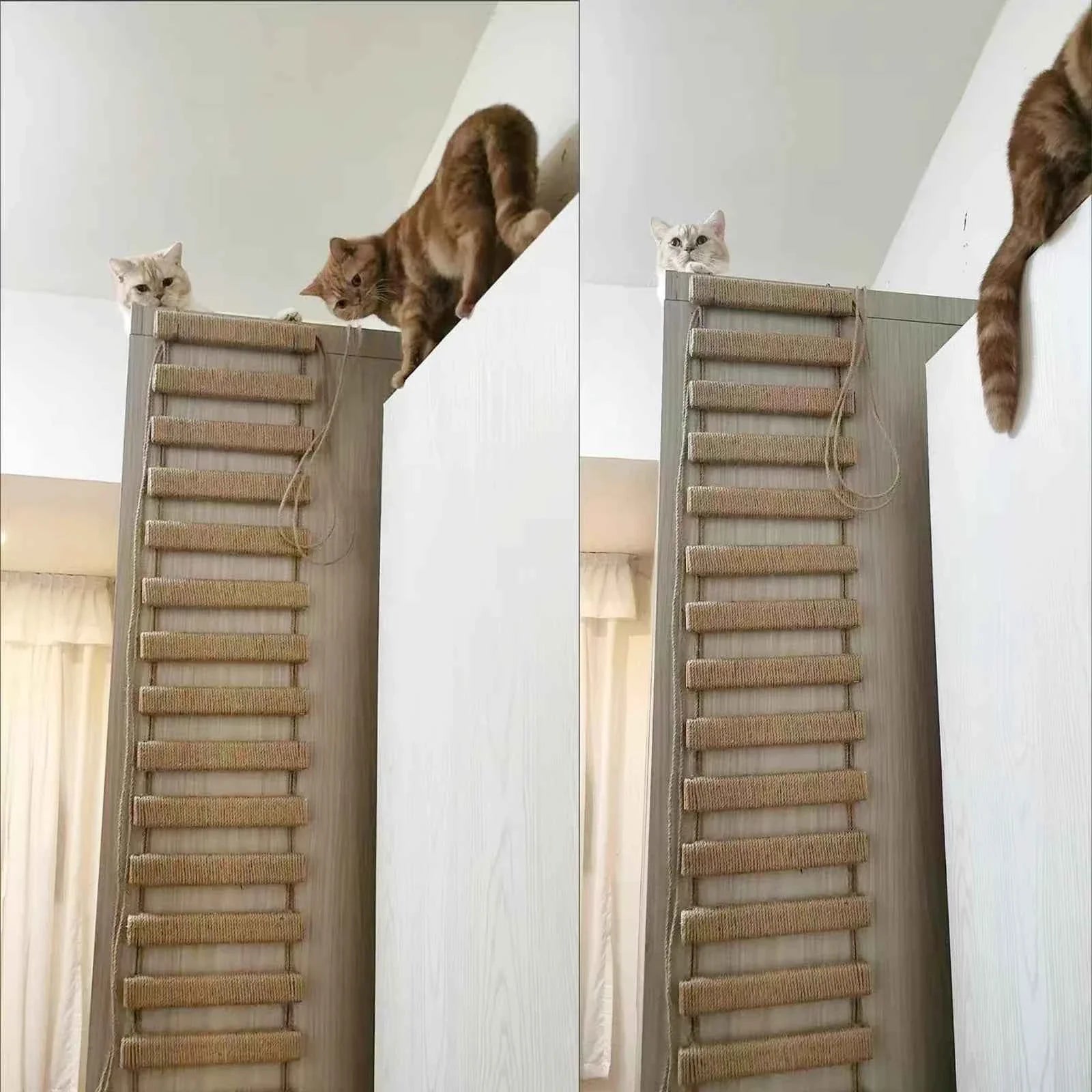 Wooden Cat Climbing Bridge & Ladder with Sisal Scratching Post