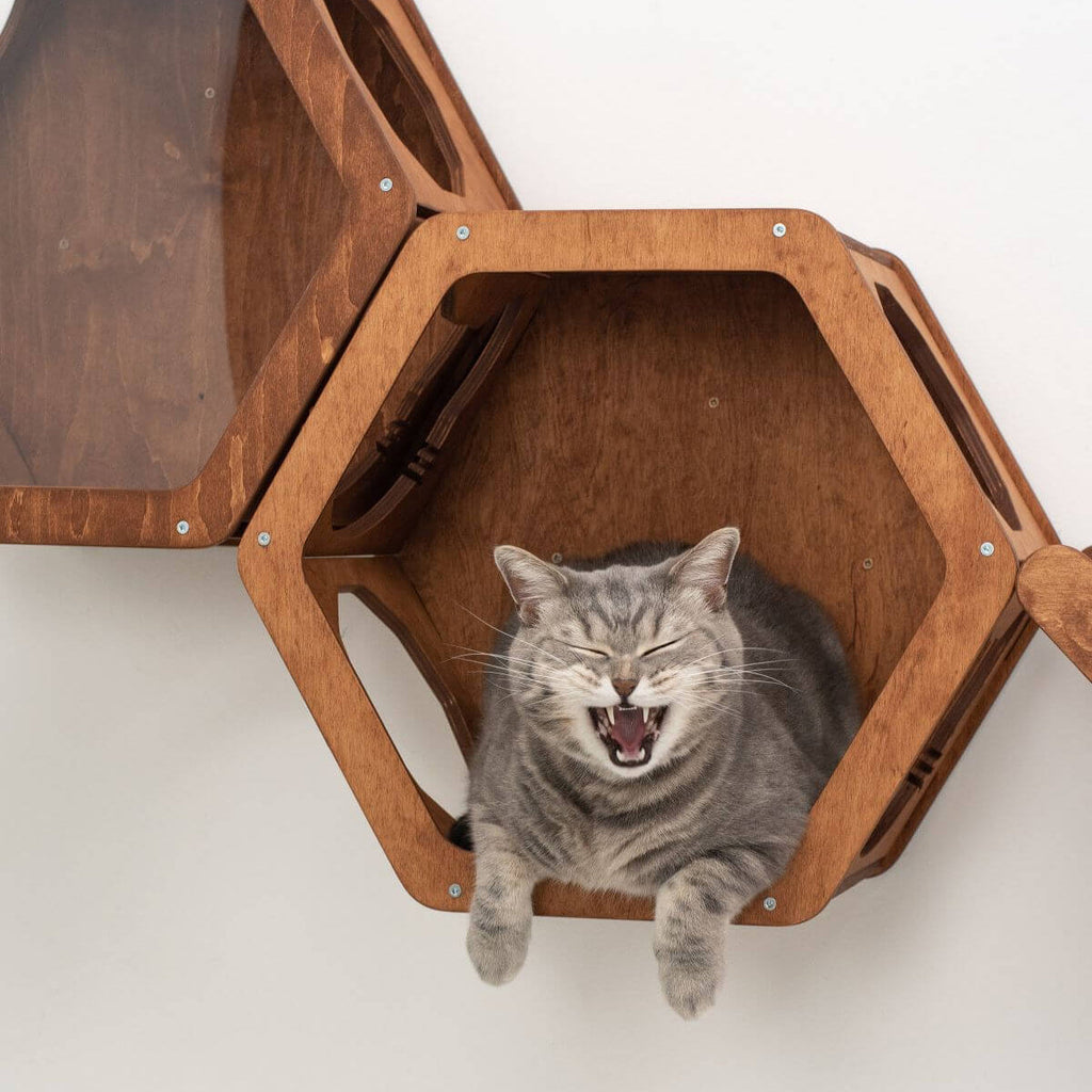 Wooden Cat Wall Shelf Hexagon by Enjoy The Wood