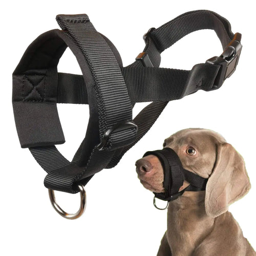 Comfort Fit Dog Muzzle with Adjustable Strap and Soft Padding
