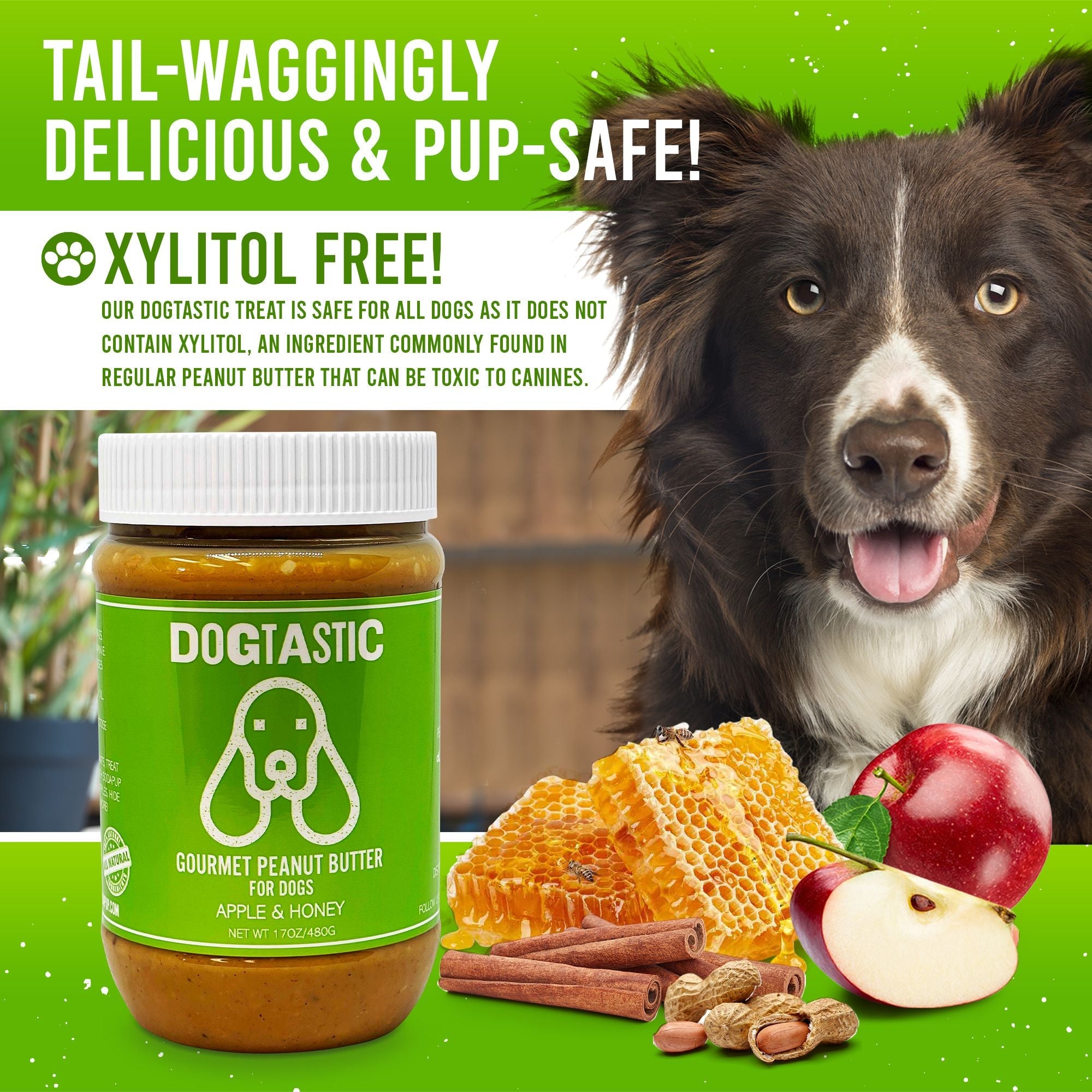 Dog Peanut Butter with Flax Seed, Xylitol-Free, 17.7 oz