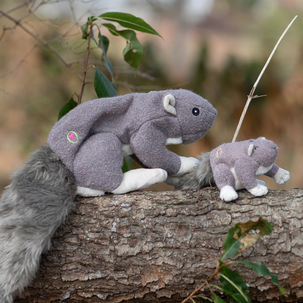 Feller Squirrel Plush Dog Toy with Squeaker, Two Sizes